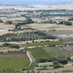 View from MDina with Mosta dome in background