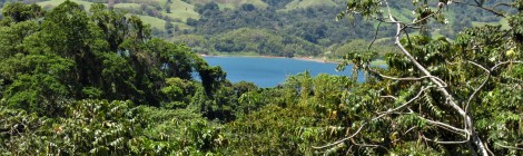 The long and winding road......back home. Lake Arenal