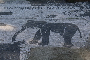 Heavy transport vendor