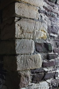 IMG_7982 (2)