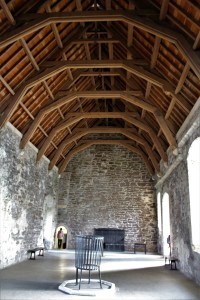 IMG_7984 (2)