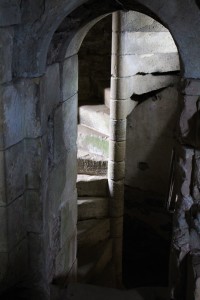 IMG_7998 (2)