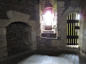 IMG_8014 (2)