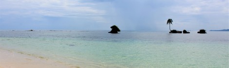 Day trip to Zapatilla Island(s), Sloth Island