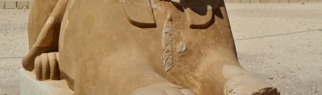 Queen Hatshepsut (pronounced: hawt jhet suit)