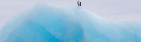 Final posting for Antarctica