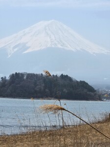 Fuji