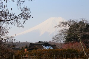 Fuji3