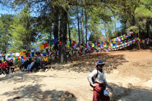 One fourth the way up