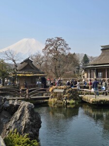 Oshino Hakkai with Fuji