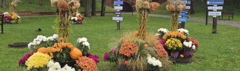 World War II begins...